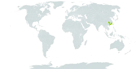 Rhus hypoleuca world distribution map, present in China and Taiwan, Province of China