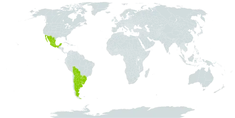 Rhynchosia diversifolia world distribution map, present in Argentina, Bolivia (Plurinational State of), Brazil, Mexico, Paraguay, and Uruguay