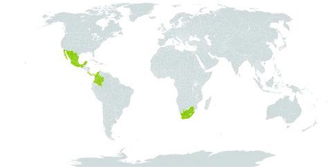 Rhynchosia quercetorum world distribution map, present in Colombia, Costa Rica, Mexico, Panama, and South Africa