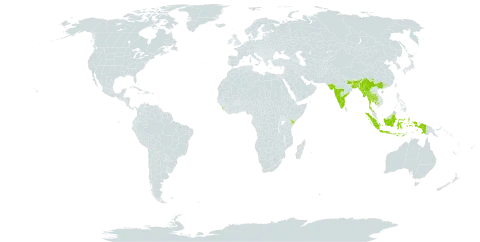 Rhynchosia rufescens world distribution map, present in Bangladesh, China, Indonesia, India, Kenya, Cambodia, Sri Lanka, Myanmar, and Thailand