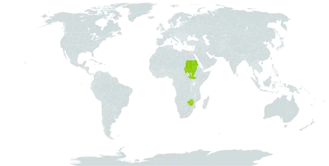 Rhynchosia tricuspidata world distribution map, present in Sudan, South Sudan, Uganda, and Zimbabwe