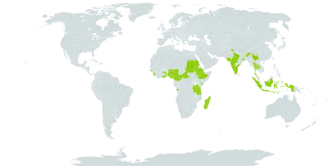 Rhynchosia viscosa world distribution map, present in Angola, Central African Republic, China, Cameroon, Ethiopia, Ghana, Guinea-Bissau, Indonesia, India, Kenya, Sri Lanka, Madagascar, Mauritius, Nigeria, Nepal, Réunion, Sudan, Sierra Leone, Togo, Thailand, Tanzania, United Republic of, and Uganda