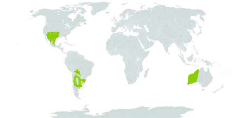 Rhynchosida physocalyx world distribution map, present in Argentina, Australia, Bolivia (Plurinational State of), Brazil, Mexico, Paraguay, Uruguay, and United States of America