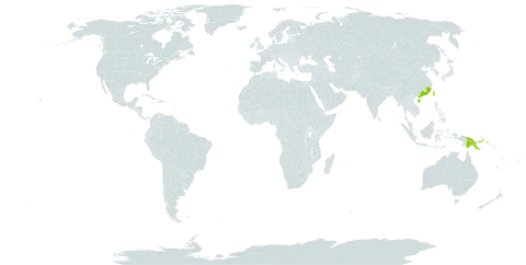 Rhynchotechum discolor world distribution map, present in China, Japan, Philippines, Papua New Guinea, and Taiwan, Province of China