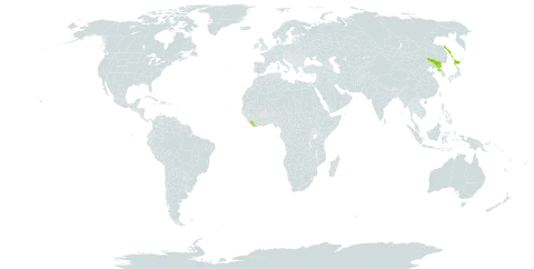 Ribes horridum world distribution map, present in China, Japan, Liberia, Korea (Democratic People's Republic of), and Russian Federation