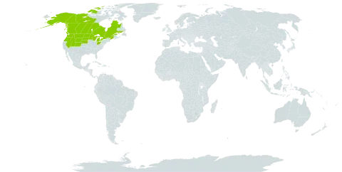 Ribes oxyacanthoides world distribution map, present in Canada and United States of America