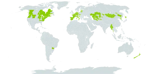 Ribes rubrum world distribution map, present in Belgium, Brazil, Canada, China, Czech Republic, Germany, Spain, Estonia, France, United Kingdom of Great Britain and Northern Ireland, Croatia, Italy, Japan, Kazakhstan, Lithuania, Luxembourg, Latvia, Myanmar, Mongolia, Netherlands, New Zealand, Korea (Democratic People's Republic of), Slovakia, Slovenia, Tajikistan, Turkmenistan, United States of America, and Uzbekistan