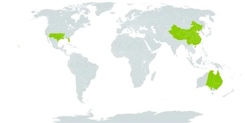 Rivina world distribution map, present in Australia, China, and United States of America