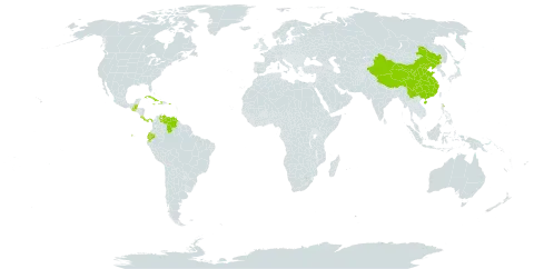 Rondeletia world distribution map, present in Belize, China, Costa Rica, Cuba, Dominica, Ecuador, Guatemala, Haiti, Jamaica, Panama, Puerto Rico, and Venezuela (Bolivarian Republic of)