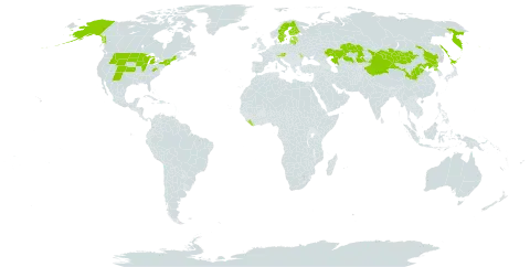 Rosa acicularis world distribution map, present in Austria, China, Estonia, Finland, Japan, Kazakhstan, Liberia, Lithuania, Latvia, Moldova (Republic of), Mongolia, Korea (Democratic People's Republic of), Russian Federation, Sweden, and United States of America