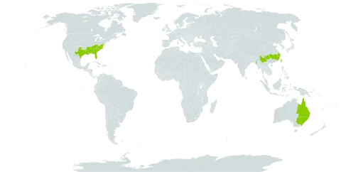 Rosa bracteata world distribution map, present in Australia, Barbados, China, Jamaica, Myanmar, Portugal, Taiwan, Province of China, and United States of America