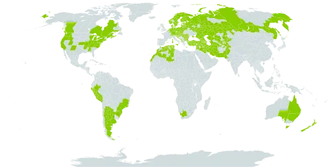 Rosa canina world distribution map, present in Afghanistan, Albania, Argentina, Armenia, Australia, Austria, Azerbaijan, Belgium, Bulgaria, Bosnia and Herzegovina, Belarus, Brazil, Canada, Switzerland, Czech Republic, Germany, Denmark, Algeria, Spain, Estonia, Finland, France, United Kingdom of Great Britain and Northern Ireland, Georgia, Greece, Croatia, Hungary, Iran (Islamic Republic of), Iraq, Israel, Italy, Kazakhstan, Kyrgyzstan, Lebanon, Liechtenstein, Lithuania, Luxembourg, Latvia, Morocco, Moldova (Republic of), North Macedonia, Malta, Montenegro, Netherlands, Norway, New Zealand, Pakistan, Peru, Poland, Portugal, Romania, Russian Federation, San Marino, Serbia, Slovakia, Slovenia, Sweden, Syrian Arab Republic, Tajikistan, Turkmenistan, Tunisia, Turkey, Ukraine, United States of America, Uzbekistan, and South Africa