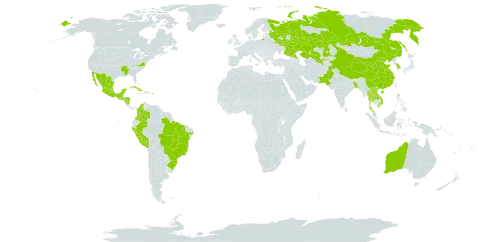 Rosa chinensis world distribution map, present in Australia, Bangladesh, Brazil, China, Colombia, Cuba, Guatemala, Honduras, Kazakhstan, Korea (Republic of), Lao People's Democratic Republic, Mexico, Nicaragua, Niue, Nepal, Pakistan, Peru, Puerto Rico, Russian Federation, Sao Tome and Principe, Thailand, United States of America, Uzbekistan, and Viet Nam