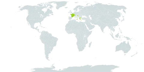 Rosa montana world distribution map, present in Switzerland, France, Greece, Croatia, and Italy