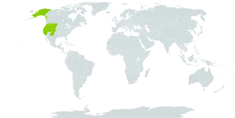 Rosa nutkana world distribution map, present in United States of America