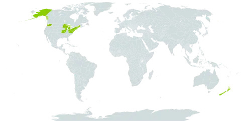 Rosa rugosa world distribution map, present in New Zealand and United States of America