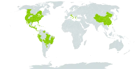 Rotala ramosior world distribution map, present in Argentina, Belize, Bolivia (Plurinational State of), Brazil, Barbados, Canada, China, Colombia, Costa Rica, Cuba, Ecuador, Guadeloupe, Greece, Guatemala, Honduras, Italy, Jamaica, Mexico, Martinique, Nicaragua, Panama, Peru, Philippines, Puerto Rico, Paraguay, El Salvador, Taiwan, Province of China, United States of America, and Venezuela (Bolivarian Republic of)