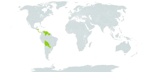 Rottboellia aurita world distribution map, present in Bolivia (Plurinational State of), Costa Rica, Guyana, Honduras, Panama, Paraguay, Suriname, and Venezuela (Bolivarian Republic of)