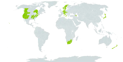 Rubus armeniacus world distribution map, present in Armenia, Austria, Azerbaijan, Belgium, Canada, Switzerland, Czech Republic, Germany, Denmark, France, United Kingdom of Great Britain and Northern Ireland, Italy, Japan, Luxembourg, Netherlands, Norway, New Zealand, Slovakia, Sweden, United States of America, and South Africa