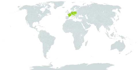 Rubus austroslovacus world distribution map, present in Austria, Czech Republic, Germany, France, Croatia, Poland, Slovakia, and Slovenia