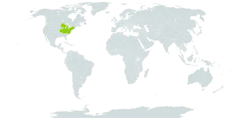 Rubus baileyanus world distribution map, present in United States of America