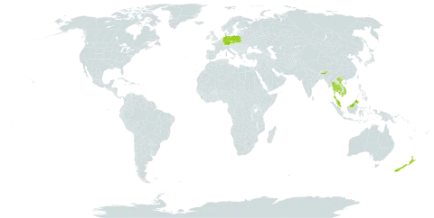 Rubus barberi world distribution map, present in Czech Republic, Germany, India, Cambodia, Sri Lanka, Malaysia, Nepal, New Zealand, Poland, Thailand, and Viet Nam