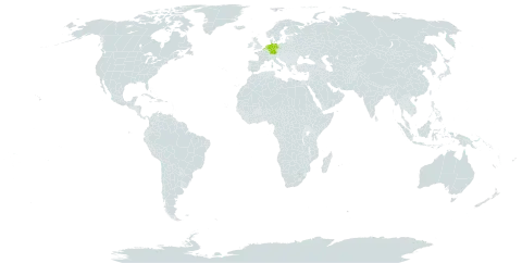 Rubus calcareus world distribution map, present in Belgium, Germany, and Netherlands