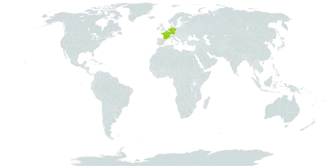 Rubus edeesii world distribution map, present in Germany, France, United Kingdom of Great Britain and Northern Ireland, and Netherlands