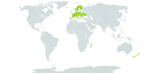 Rubus grabowskii world distribution map, present in Austria, Belgium, Switzerland, Czech Republic, Germany, Denmark, Finland, France, United Kingdom of Great Britain and Northern Ireland, Hungary, Italy, Luxembourg, Netherlands, Norway, New Zealand, Poland, Romania, Slovakia, Slovenia, Sweden, and Ukraine