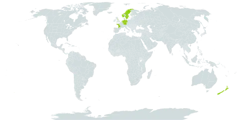 Rubus horrefactus world distribution map, present in Germany, France, United Kingdom of Great Britain and Northern Ireland, Netherlands, Norway, New Zealand, and Sweden