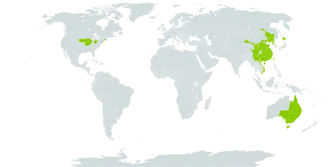 Rubus parvifolius world distribution map, present in Australia, China, Japan, Korea (Democratic People's Republic of), Taiwan, Province of China, United States of America, and Viet Nam