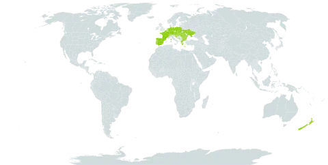 Rubus praecox world distribution map, present in Austria, Belgium, Bulgaria, Bosnia and Herzegovina, Switzerland, Czech Republic, Germany, Spain, France, United Kingdom of Great Britain and Northern Ireland, Greece, Croatia, Hungary, Luxembourg, North Macedonia, Montenegro, Netherlands, New Zealand, Poland, Portugal, Romania, Serbia, Slovakia, Slovenia, and Ukraine