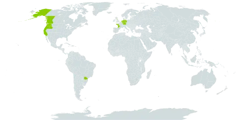 Rubus spectabilis world distribution map, present in Brazil, Canada, Germany, France, United Kingdom of Great Britain and Northern Ireland, Isle of Man, Netherlands, and United States of America