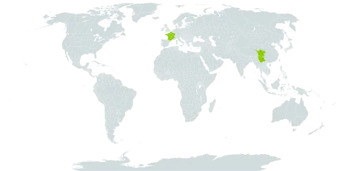 Rubus subornatus var. melanadenus world distribution map, present in China and France