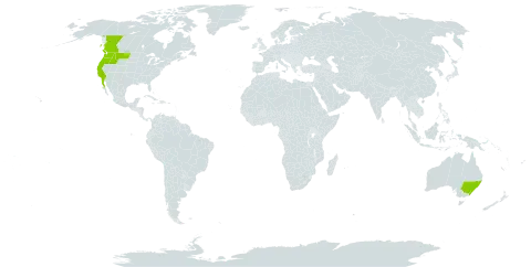 Rubus ursinus world distribution map, present in Australia, Canada, Mexico, and United States of America