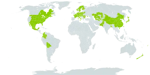 Rudbeckia laciniata world distribution map, present in Austria, Belgium, Bangladesh, Bulgaria, Bosnia and Herzegovina, Belarus, Bolivia (Plurinational State of), Canada, Switzerland, China, Colombia, Czech Republic, Germany, Finland, Fiji, France, United Kingdom of Great Britain and Northern Ireland, Croatia, Hungary, Italy, Japan, Kazakhstan, Liechtenstein, Moldova (Republic of), Mexico, Netherlands, Norway, New Zealand, Pakistan, Poland, Korea (Democratic People's Republic of), Romania, Russian Federation, Serbia, Slovakia, Slovenia, Sweden, Tajikistan, Turkmenistan, Taiwan, Province of China, Ukraine, United States of America, and Uzbekistan