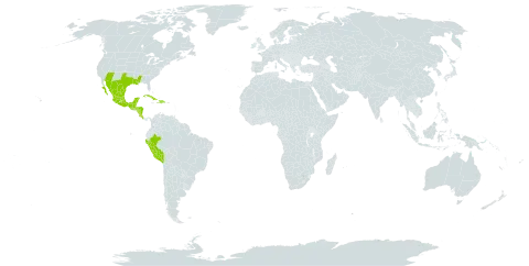 Ruellia nudiflora world distribution map, present in Belize, Costa Rica, Cuba, Dominican Republic, Guatemala, Honduras, Haiti, Mexico, Nicaragua, Peru, and United States of America