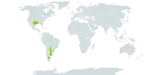 Rumex paraguayensis world distribution map, present in Argentina, Paraguay, and United States of America