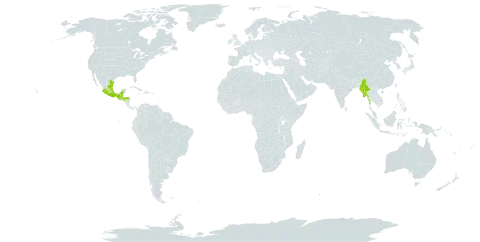 Russelia coccinea world distribution map, present in Guatemala, Honduras, Mexico, and Myanmar