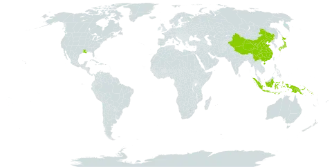 Sabia world distribution map, present in China, Indonesia, Japan, Papua New Guinea, Solomon Islands, and United States of America