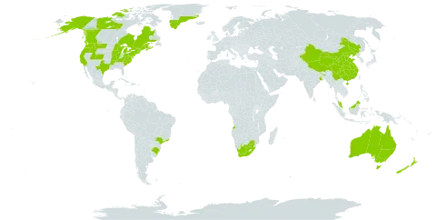 Sagina procumbens world distribution map, present in Angola, American Samoa, Australia, Brazil, Canada, China, France, Greenland, India, Malaysia, New Zealand, Philippines, United States of America, and South Africa