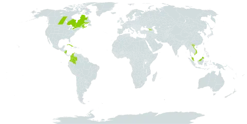 Sagittaria graminea subsp. graminea world distribution map, present in Åland Islands, Canada, Colombia, Cuba, Micronesia (Federated States of), Georgia, Malaysia, Nicaragua, and Viet Nam