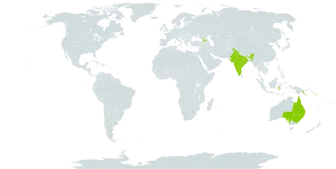 Salacia erythrocarpa world distribution map, present in Australia, Georgia, Indonesia, India, Papua New Guinea, and Solomon Islands