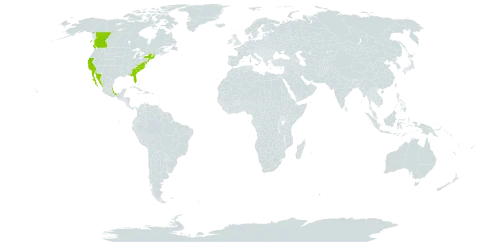 Salicornia pacifica world distribution map, present in Canada, Mexico, and United States of America