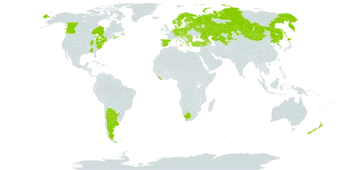 Salix caprea world distribution map, present in Albania, Andorra, Argentina, Armenia, Austria, Azerbaijan, Belgium, Bulgaria, Bosnia and Herzegovina, Belarus, Canada, Switzerland, China, Czech Republic, Germany, Denmark, Spain, Estonia, Finland, France, United Kingdom of Great Britain and Northern Ireland, Georgia, Greece, Croatia, Hungary, Italy, Japan, Kazakhstan, Liberia, Liechtenstein, Lithuania, Luxembourg, Latvia, North Macedonia, Montenegro, Mongolia, Netherlands, Norway, New Zealand, Poland, Korea (Democratic People's Republic of), Romania, Russian Federation, Serbia, Slovakia, Slovenia, Sweden, Turkey, Ukraine, United States of America, Uzbekistan, and South Africa