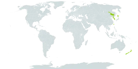 Salix gracilistyla world distribution map, present in China, Japan, Korea (Republic of), New Zealand, Korea (Democratic People's Republic of), and Taiwan, Province of China