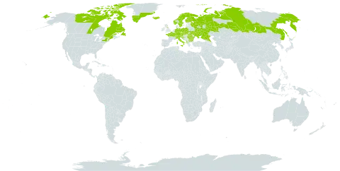 Salix herbacea world distribution map, present in Albania, Andorra, Austria, Bulgaria, Canada, Switzerland, Czech Republic, Germany, Finland, France, United Kingdom of Great Britain and Northern Ireland, Greenland, Croatia, Iceland, Italy, Liechtenstein, North Macedonia, Norway, Poland, Romania, Russian Federation, Slovakia, Slovenia, Sweden, Ukraine, and United States of America