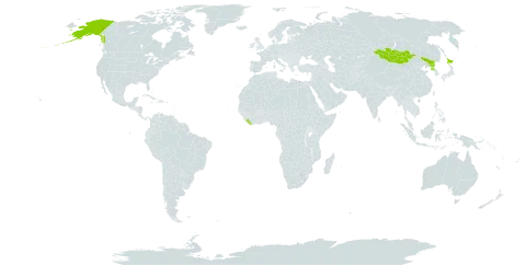 Salix nummularia world distribution map, present in China, Japan, Liberia, Mongolia, Korea (Democratic People's Republic of), and United States of America