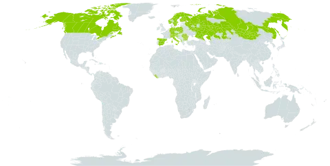 Salix reticulata world distribution map, present in Albania, Andorra, Austria, Bulgaria, Canada, Switzerland, Germany, Spain, Finland, France, United Kingdom of Great Britain and Northern Ireland, Croatia, Italy, Kazakhstan, Liberia, Liechtenstein, North Macedonia, Mongolia, Norway, Poland, Romania, Russian Federation, Serbia, Slovakia, Slovenia, Sweden, and United States of America