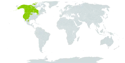 Salix scouleriana world distribution map, present in Canada, Mexico, and United States of America